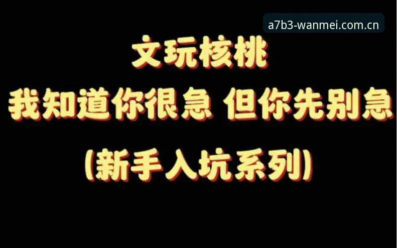 新手别急：5个细节带你找到完美体育官网登录入口并下载A7B3版本